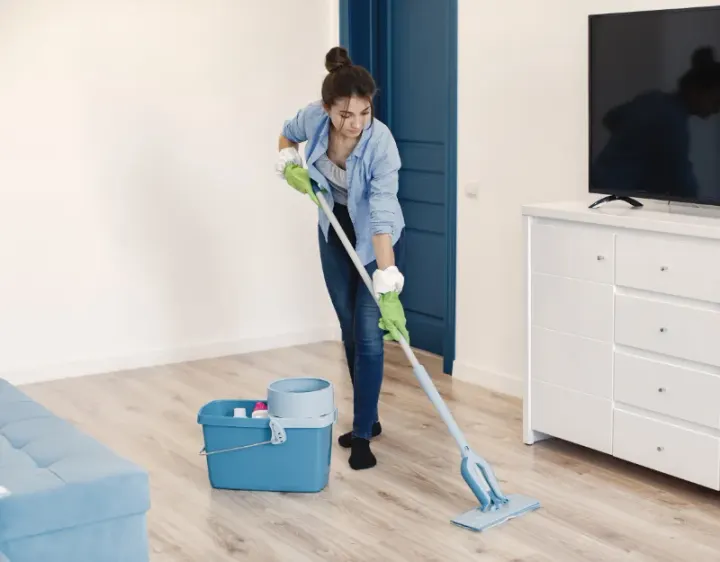 Femme de ménage Lay